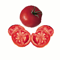 tomatoslice.gif